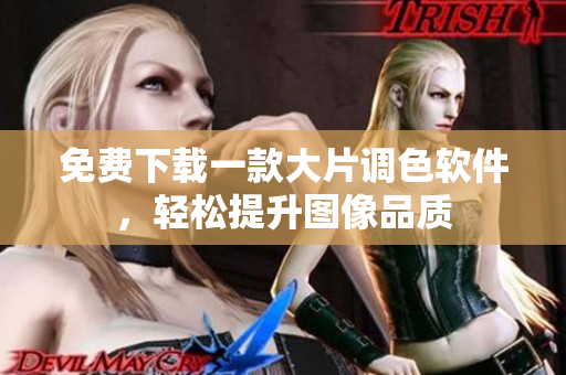 免费下载一款大片调色软件，轻松提升图像品质