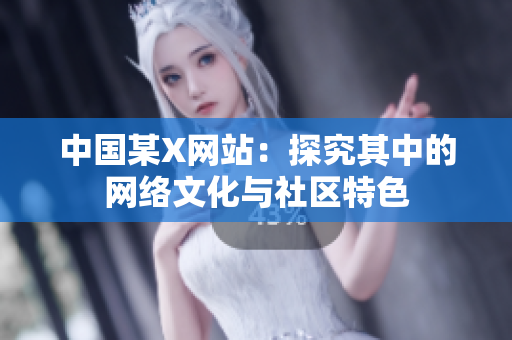中国某X网站：探究其中的网络文化与社区特色