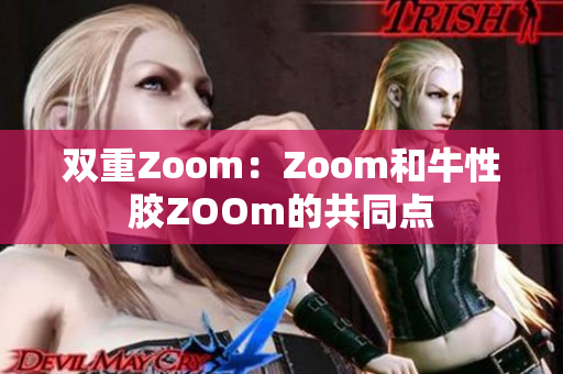 双重Zoom：Zoom和牛性胶ZOOm的共同点