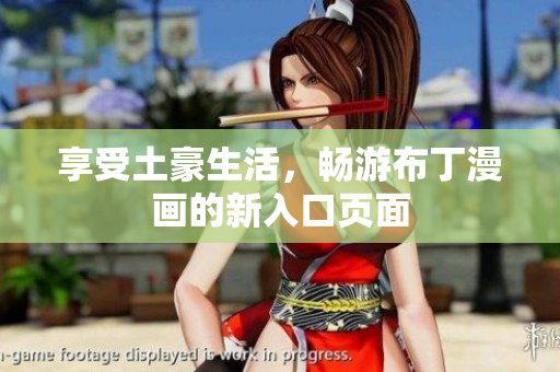 享受土豪生活，畅游布丁漫画的新入口页面