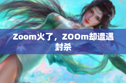 Zoom火了，ZOOm却遭遇封杀