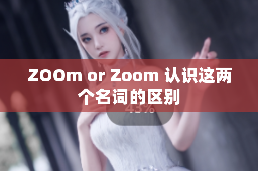 ZOOm or Zoom 认识这两个名词的区别