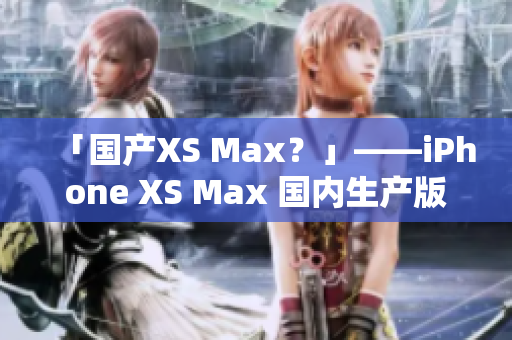「国产XS Max？」——iPhone XS Max 国内生产版