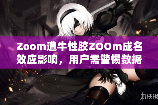 Zoom遭牛性胶ZOOm成名效应影响，用户需警惕数据泄露