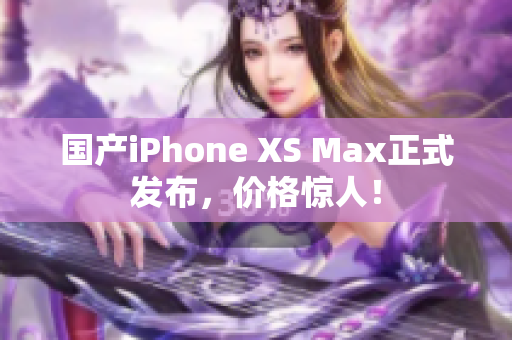 国产iPhone XS Max正式发布，价格惊人！