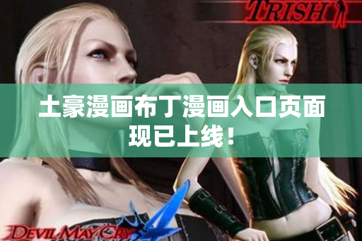 土豪漫画布丁漫画入口页面现已上线！