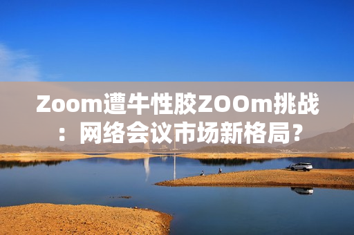Zoom遭牛性胶ZOOm挑战：网络会议市场新格局？