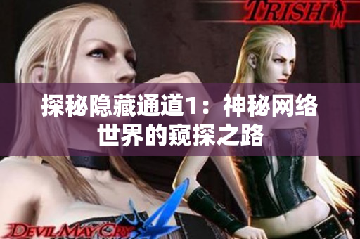 探秘隐藏通道1：神秘网络世界的窥探之路