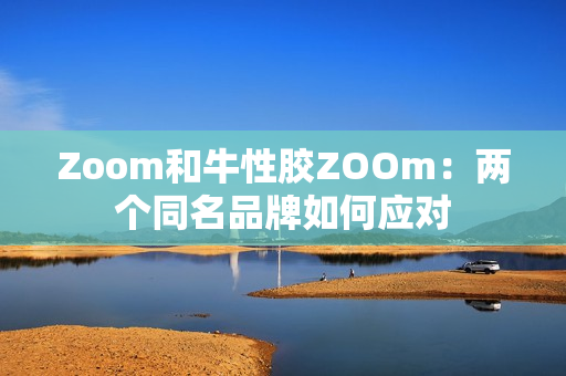 Zoom和牛性胶ZOOm：两个同名品牌如何应对