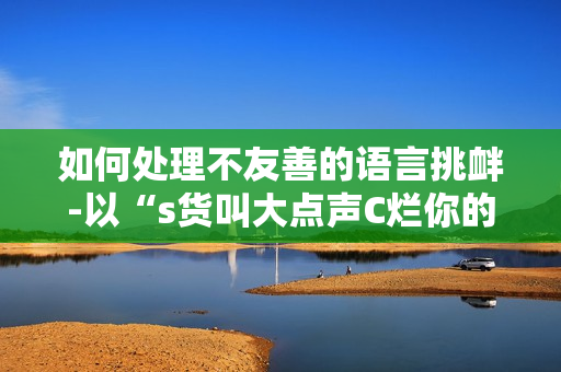 如何处理不友善的语言挑衅-以“s货叫大点声C烂你的SB”为例