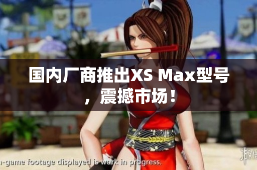 国内厂商推出XS Max型号，震撼市场！