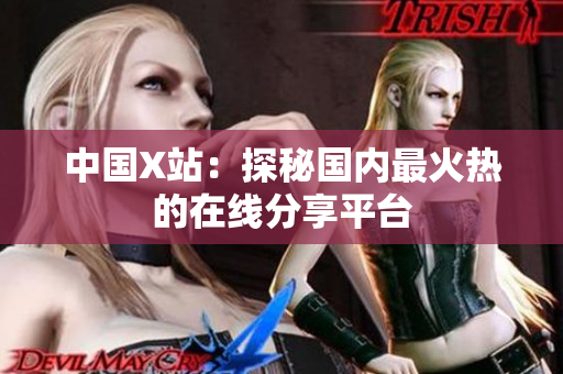 中国X站：探秘国内最火热的在线分享平台