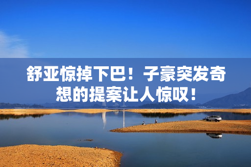 舒亚惊掉下巴！子豪突发奇想的提案让人惊叹！