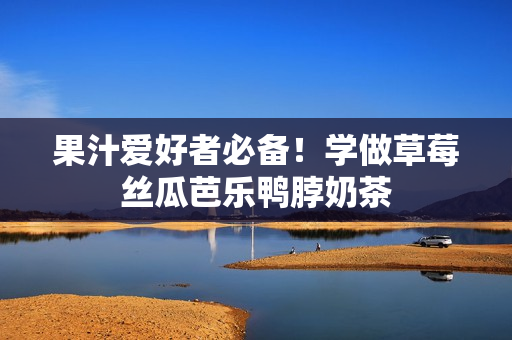 果汁爱好者必备！学做草莓丝瓜芭乐鸭脖奶茶