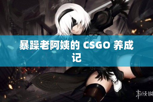 暴躁老阿姨的 CSGO 养成记