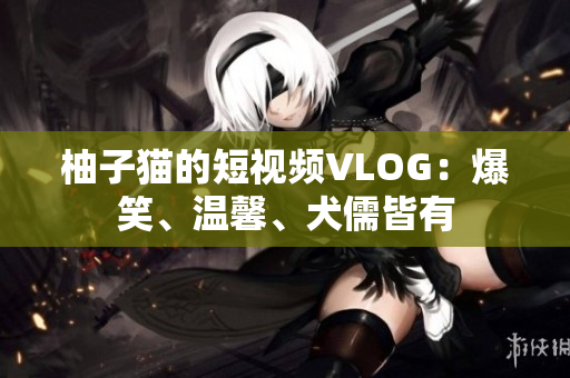 柚子猫的短视频VLOG：爆笑、温馨、犬儒皆有