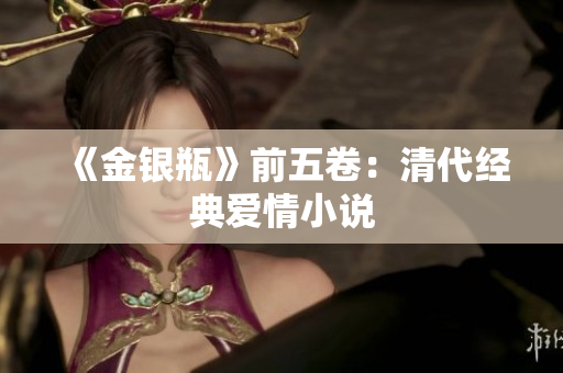 《金银瓶》前五卷：清代经典爱情小说