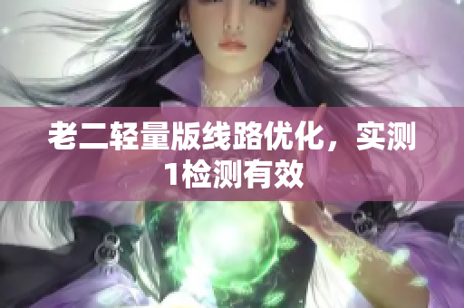 老二轻量版线路优化，实测1检测有效