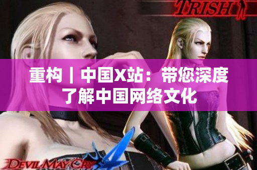 重构｜中国X站：带您深度了解中国网络文化