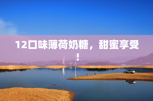 12口味薄荷奶糖，甜蜜享受！