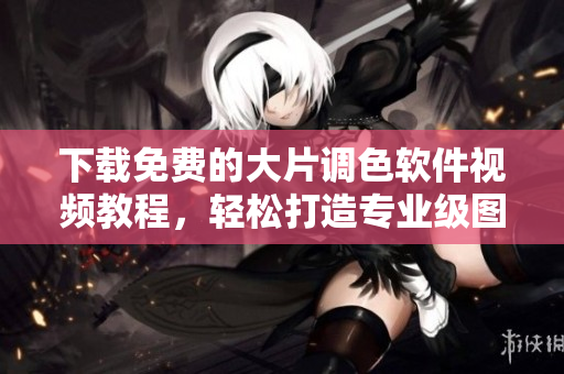 下载免费的大片调色软件视频教程，轻松打造专业级图片！