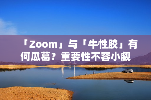 「Zoom」与「牛性胶」有何瓜葛？重要性不容小觑