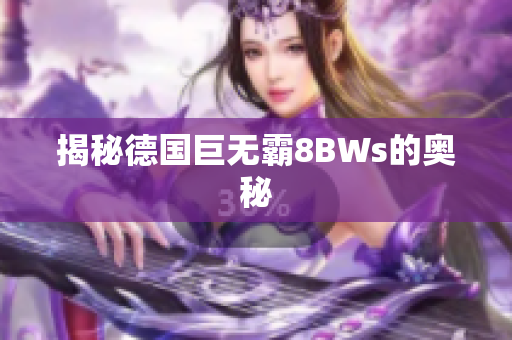 揭秘德国巨无霸8BWs的奥秘