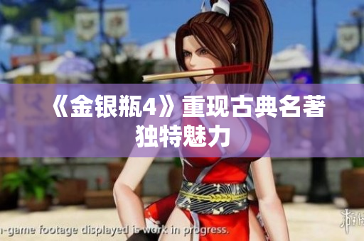《金银瓶4》重现古典名著独特魅力