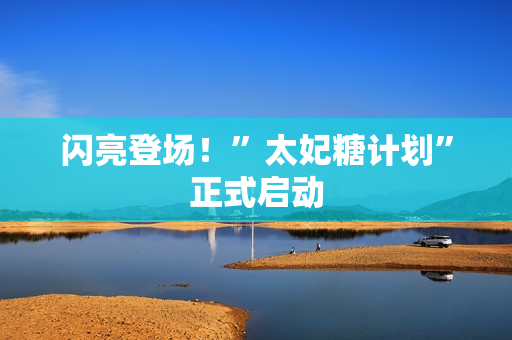 闪亮登场！”太妃糖计划”正式启动