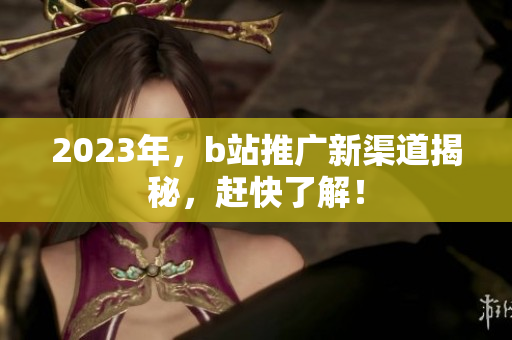 2023年，b站推广新渠道揭秘，赶快了解！
