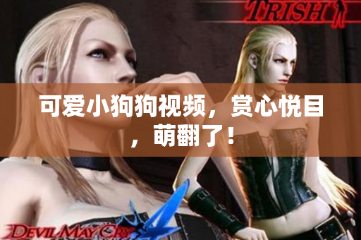 可爱小狗狗视频，赏心悦目，萌翻了！