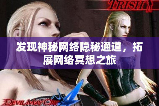 发现神秘网络隐秘通道，拓展网络冥想之旅