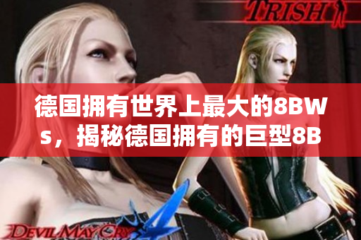 德国拥有世界上最大的8BWs，揭秘德国拥有的巨型8BWs