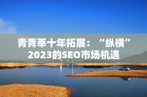 青青莘十年拓展：“纵横”2023的SEO市场机遇