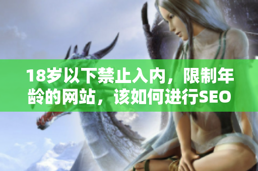 18岁以下禁止入内，限制年龄的网站，该如何进行SEO优化？