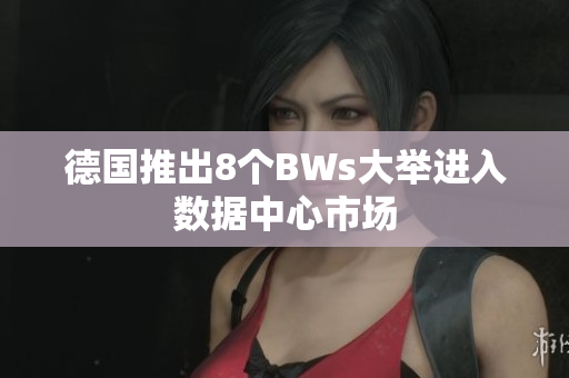 德国推出8个BWs大举进入数据中心市场