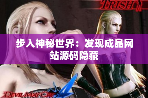 步入神秘世界：发现成品网站源码隐藏