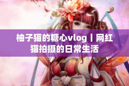柚子猫的糖心vlog丨网红猫拍摄的日常生活