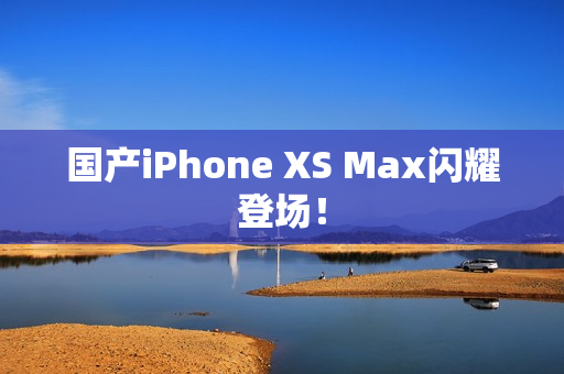 国产iPhone XS Max闪耀登场！