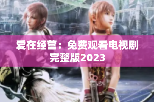 爱在经营：免费观看电视剧完整版2023