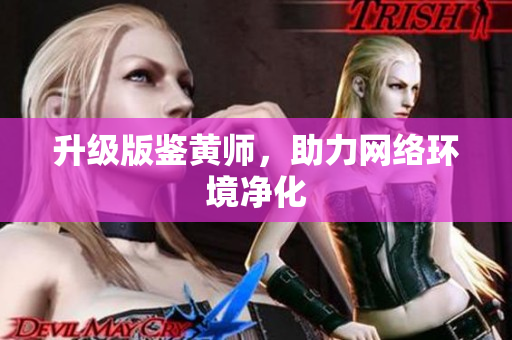 升级版鉴黄师，助力网络环境净化