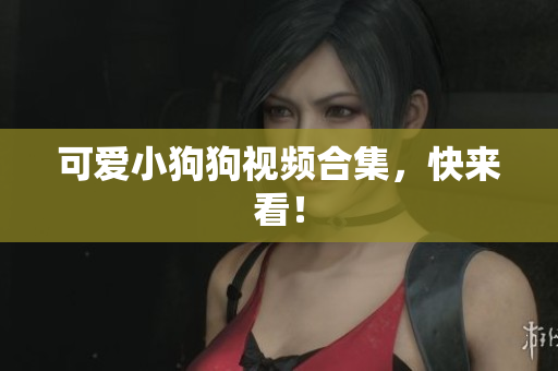 可爱小狗狗视频合集，快来看！