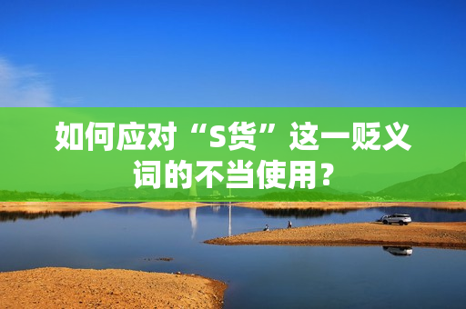 如何应对“S货”这一贬义词的不当使用？