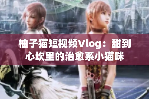 柚子猫短视频Vlog：甜到心坎里的治愈系小猫咪
