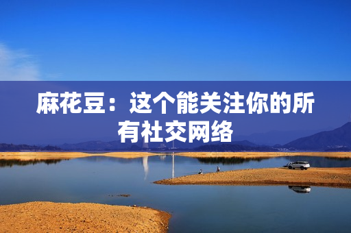 麻花豆：这个能关注你的所有社交网络
