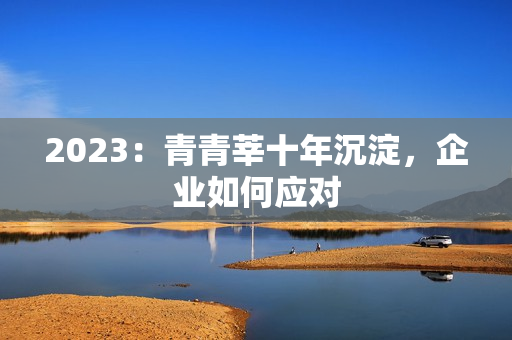 2023：青青莘十年沉淀，企业如何应对