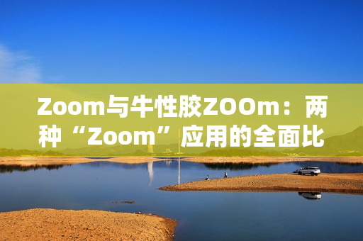 Zoom与牛性胶ZOOm：两种“Zoom”应用的全面比较